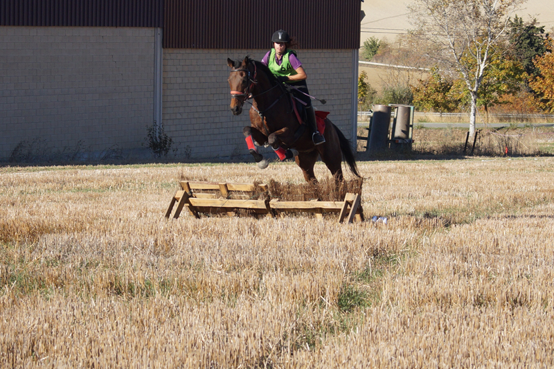 El CH Zolina acogió el Campeonato Navarro de TREC